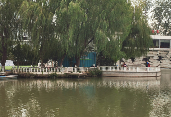 金庭庄园酒店景观水治理