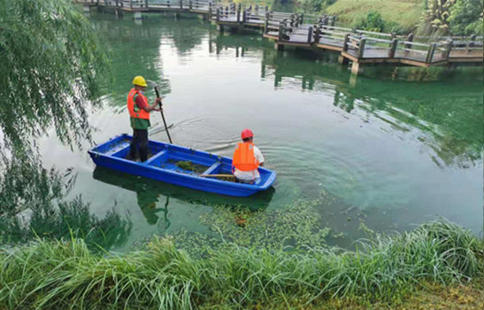 河湖水体蓝藻解决方案