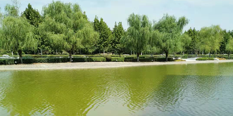 景观水治理典型案例(图1)
