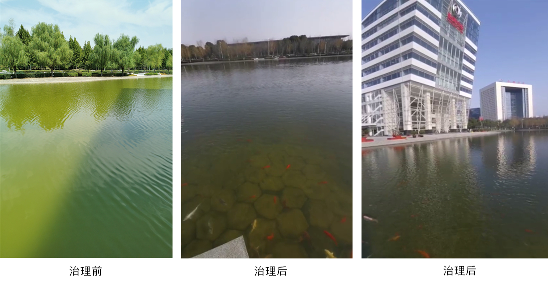 景观水治理典型案例(图6)