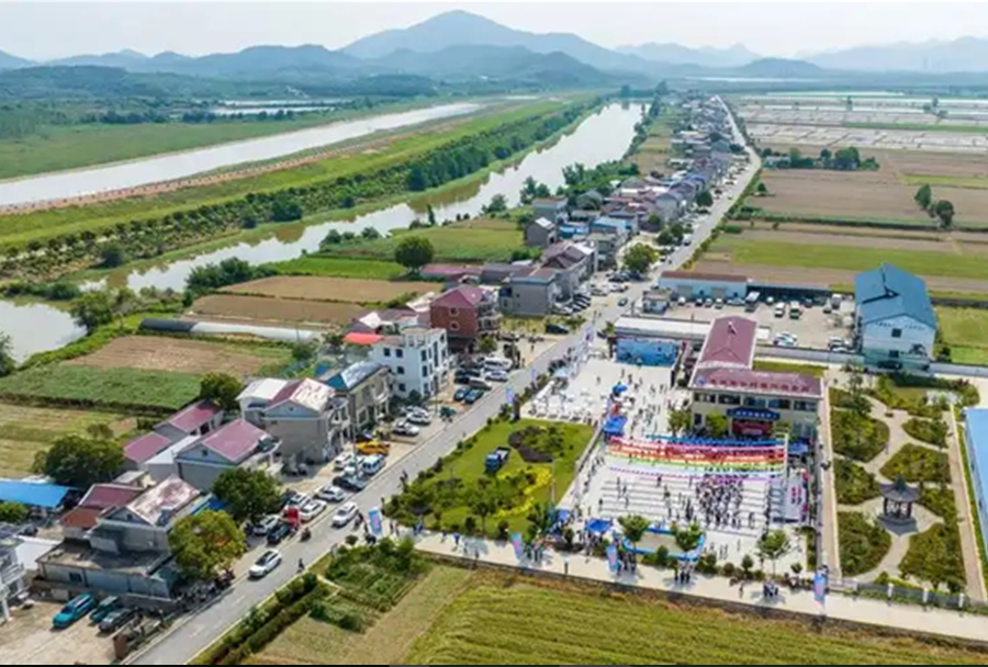 七网融合、五水共治 、治出乡村振兴新画卷