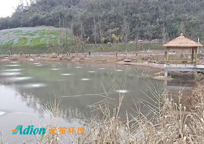 爱笛为重庆钟家沟河道治理项目提供设备