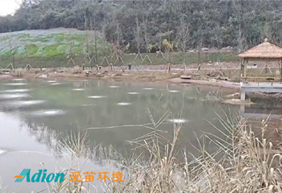 重庆钟家沟河道治理 